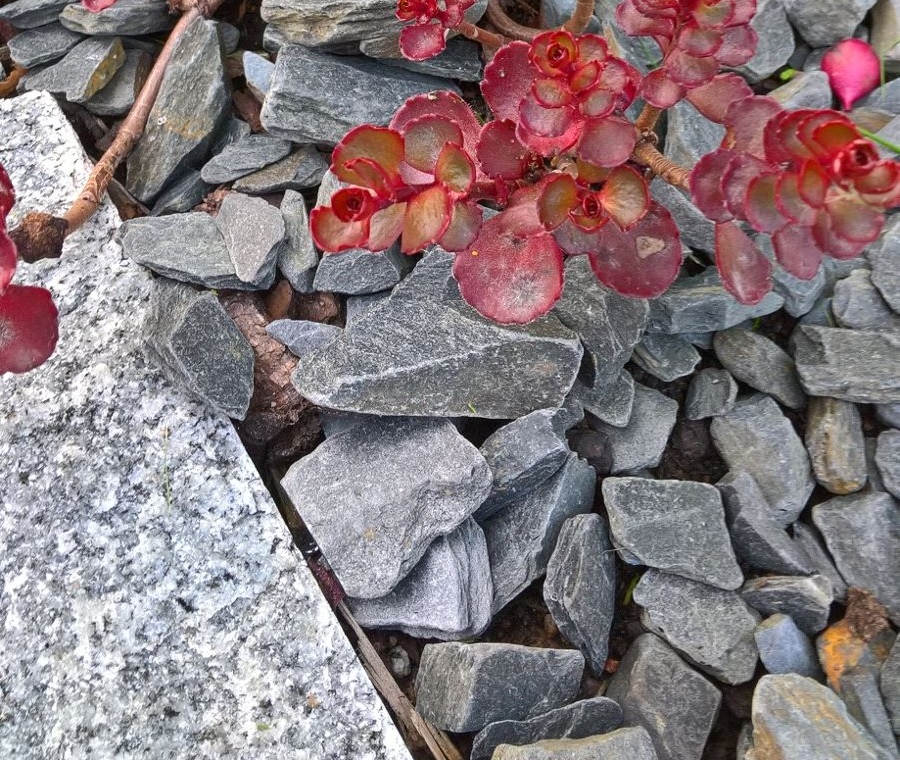 Liuskekivikate S, Oriveden Tumma